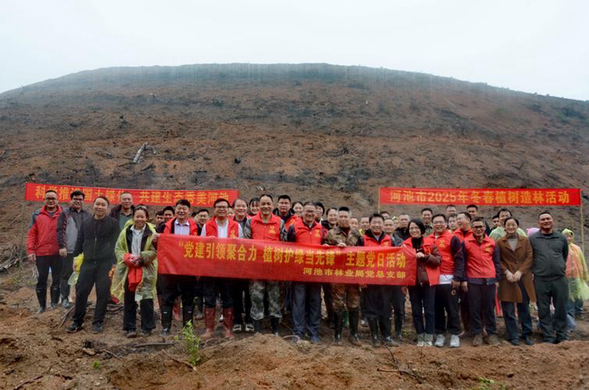 民生林业网